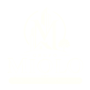 Grupo Miolo Negócios Imobiliários, Patrimoniais e Corretora de Seguros - Sua imobiliária Grupo Miolo Negócios Imobiliários, Patrimoniais e Corretora de Seguros